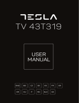 Tesla 43T319BF  Manual de utilizare