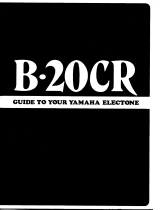 Yamaha B20CR Manualul proprietarului