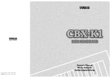 Yamaha CBX-K1 Manualul proprietarului