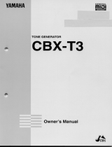 Yamaha CBX-T3 Manualul proprietarului
