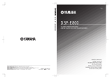 Yamaha DSP-E800 Manual de utilizare