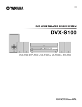 Yamaha DVX-S100 Manual de utilizare