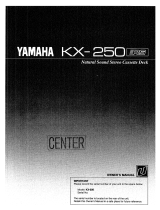 Yamaha KX-250 Manualul proprietarului