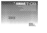 Yamaha T-09 Manualul proprietarului