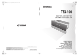 Yamaha TSX-100 Manualul proprietarului