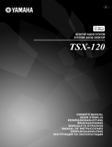 Yamaha TSX-120 Manualul proprietarului