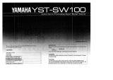 Yamaha YST-SW100 Manualul proprietarului