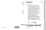 Sony Série CYBER-SHOT DSC-T110 Manual de utilizare