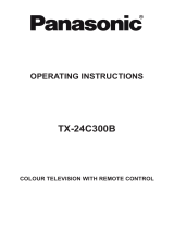 Panasonic TX24C300B Instrucțiuni de utilizare