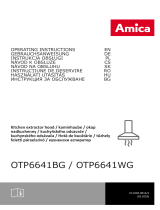 Amica OTP6641WG Manual de utilizare