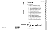 Sony cybershot dsc s2100 Manual de utilizare