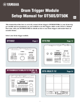 Yamaha DT50S Manual de utilizare