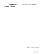 Electrolux EHS60020X Manual de utilizare