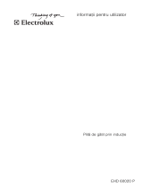 Electrolux EHD60020P Manual de utilizare