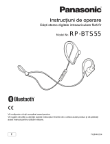 Panasonic RPBTS55 Instrucțiuni de utilizare