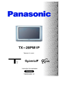 Panasonic TX28PM1P Instrucțiuni de utilizare