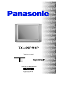Panasonic TX29PM1P Instrucțiuni de utilizare