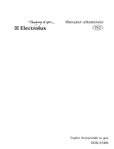 Electrolux EOG21300X Manual de utilizare