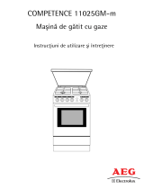 Aeg-Electrolux 11025GM-M Manual de utilizare