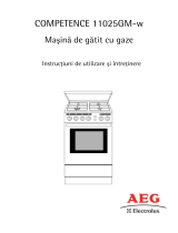 Aeg-Electrolux 11025GM-W Manual de utilizare