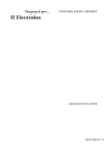 Electrolux EHS60041X Manual de utilizare