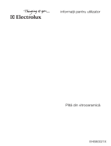 Electrolux EHS60021X Manual de utilizare