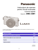 Panasonic DMCGM1EG Instrucțiuni de utilizare