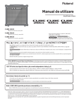 Roland CUBE-20GX Manual de utilizare
