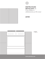 Gorenje G6111WJ Manualul proprietarului