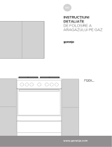 Gorenje GI6121WH Manualul proprietarului