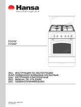 Hansa FCGY62109 Manual de utilizare