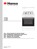 Hansa FCGW63020G Manual de utilizare