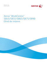 Xerox 5865/5875/5890 Manualul utilizatorului