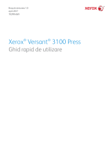 Xerox Versant 3100 Ghid de inițiere rapidă