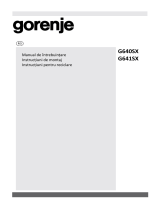 Gorenje G641SX Manualul proprietarului