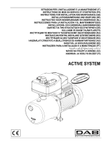 DAB Active System Instrucțiuni de utilizare