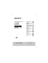 Sony SLT-A65 Instrucțiuni de utilizare