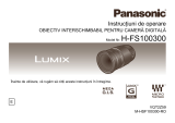 Panasonic HFS100300E Instrucțiuni de utilizare