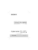 Sony DSC-RX100M2 Instrucțiuni de utilizare