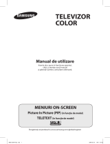 Samsung CW-29Z418P Manual de utilizare