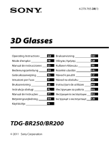 Sony TDG-BR200 Manual de utilizare