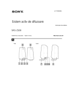 Sony SRS-Z100 Instrucțiuni de utilizare