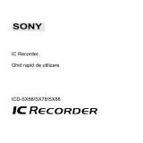 Sony ICD-SX68 Instrucțiuni de utilizare