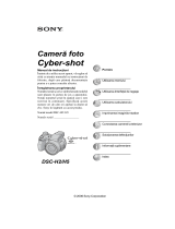 Sony DSC-H5 Instrucțiuni de utilizare