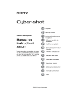Sony DSC-G1 Instrucțiuni de utilizare
