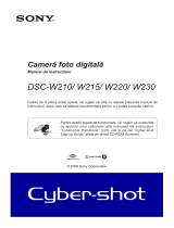 Sony DSC-W210 Instrucțiuni de utilizare