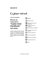 Sony DSC-W300 Instrucțiuni de utilizare