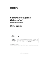 Sony DSC-W300 Instrucțiuni de utilizare