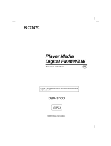 Sony DSX-S100 Instrucțiuni de utilizare