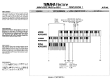 Yamaha AVP-006 Manualul proprietarului